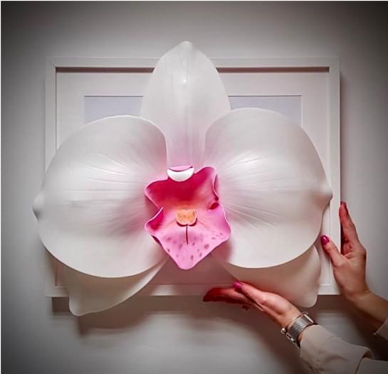 49 idee su Fiori giganti - Giant flower